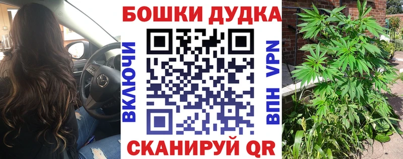 Каннабис сатива  Купить  Бирюч 
